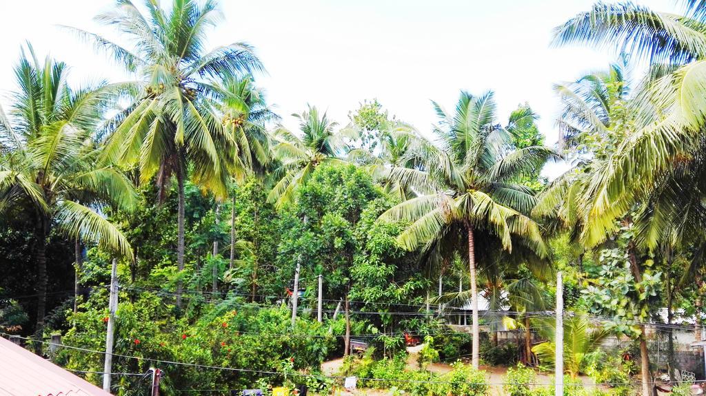 Sevonrich Holiday Resort Dambulla Exterior photo